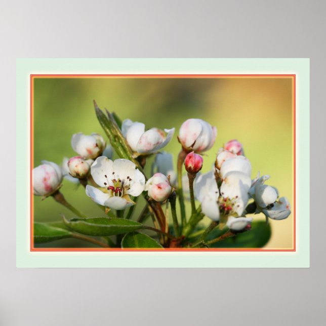 28" x 20", Value Poster Paper (Matte) (Vorne)