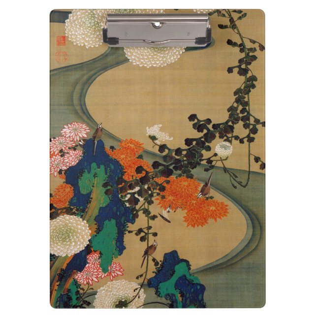 29. 菊 花 流 図, 若 Chrysanthemum & Stream, Jakuchū Klemmbrett (Vorderseite)