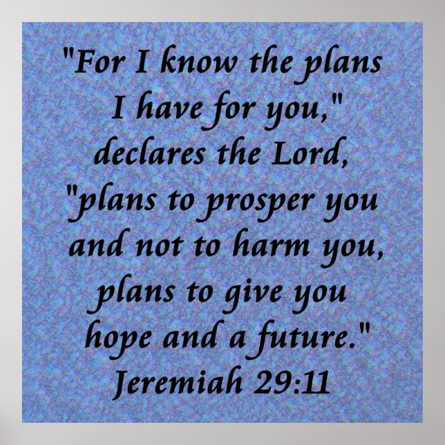 29-11-Poster Poster (Vorne)