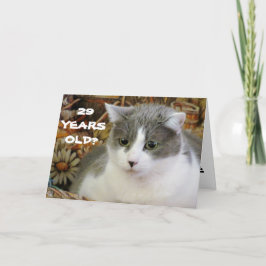29? Du musst mich kätzen Karte