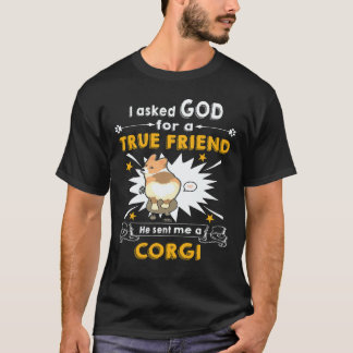 29 Er schickte mir einen Corgi T-Shirt