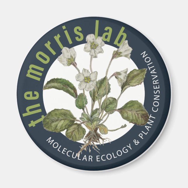 2 1/4 runder Magnet mit Morris-Labrador-Logo (Vorne)