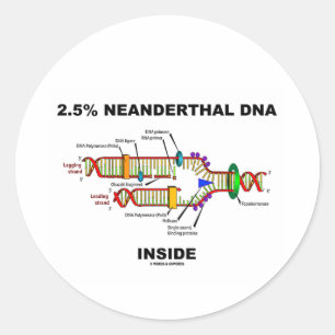2,5 % Neandertaler DNA-Inside (DNA-Replikation) Runder Aufkleber
