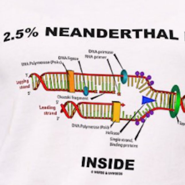 2,5 % Neandertaler DNA-Inside (DNA-Replikation) T-Shirt (Tee featuring DNA replication + the saying "2.5% Neanderthal [DNA] Inside" for any Homo sapien)