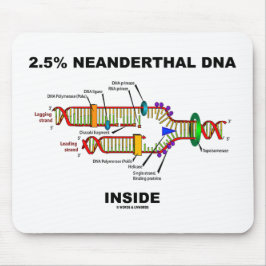 2,5 % Neanderthaler-DNA-Replikation innerhalb der Mousepad