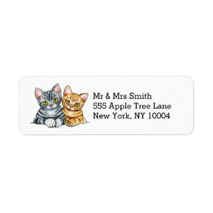2 American Shorthairs