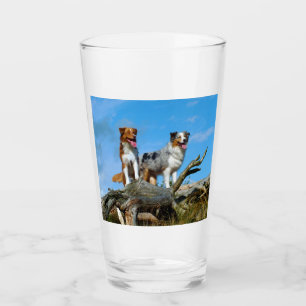2 australische Hirten Glas