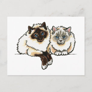 2 Birman Postkarte
