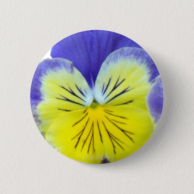 2 blaues gelbes Stiefmütterchen Button (Vorderseite)