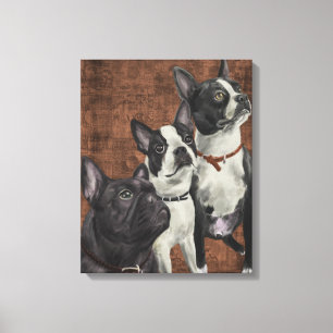 2 Boston Terrier und French Bulldog Leinwanddruck
