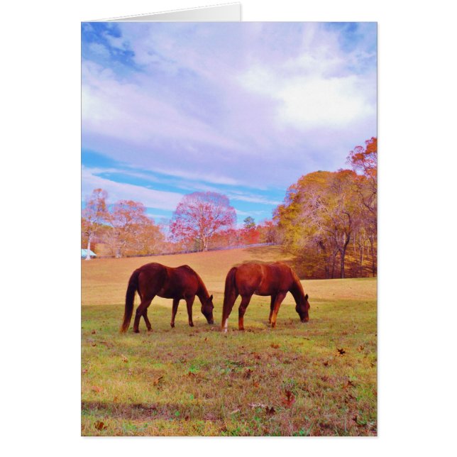2 Braune Pferde in einem farbigen Feld (Vorne)