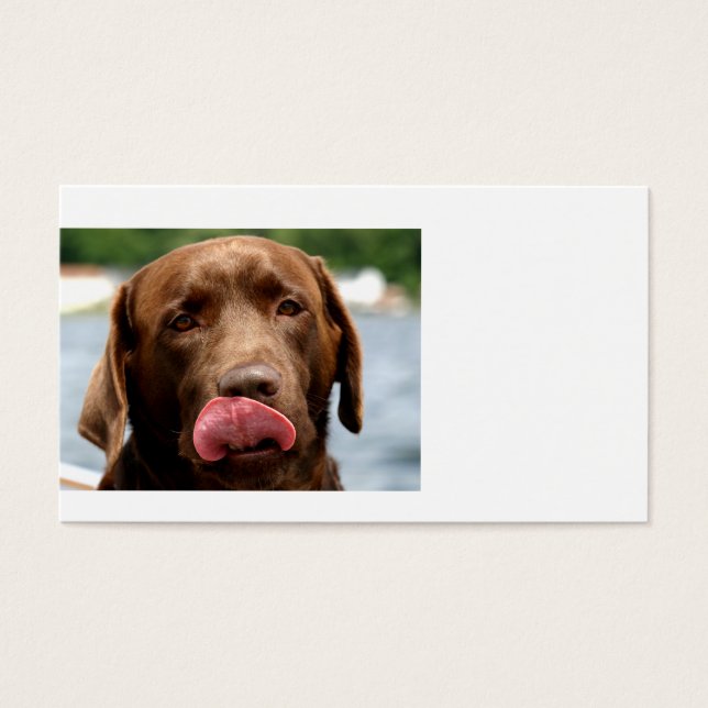 2 Chocolate_Labrador.png (Vorderseite)