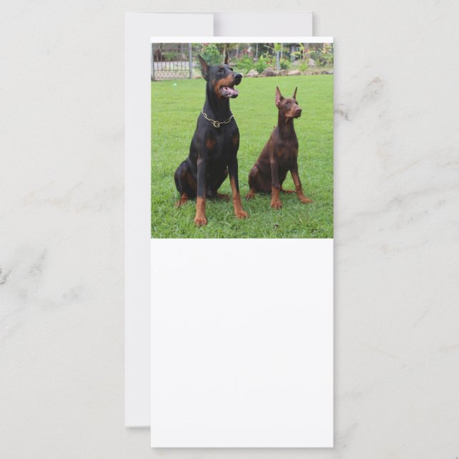 2 DOBERMANN (Vorderseite)