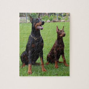 2 dobies.png puzzle