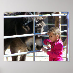 2 Donkeys in Jackalope Santa Fe NM Poster
