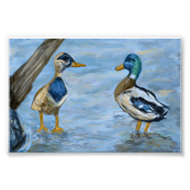 2 Enten im Gespräch_0185_n400_tele Fotodruck