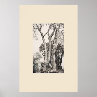 2 Eschen Cornwall Eleanor Hughes Nachdruck Poster