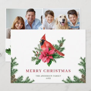 2 FOTO Poinsettia Roter Kardinal Weihnachtsgrüße Feiertagskarte