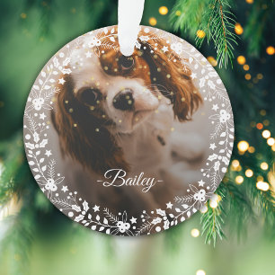 2 Fotos Weihnachtsschrei Keepake Hunde Katze Haust Ornament