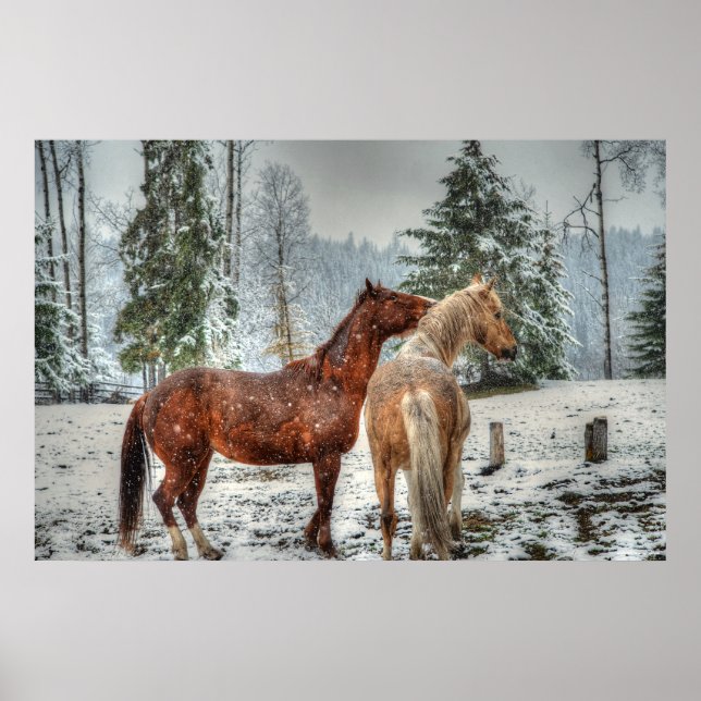 2 Friendly Ranch Horses, Dun, Palomino Paint Foto Poster (Vorne)