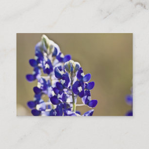 2 ist besser als ein visitenkarte