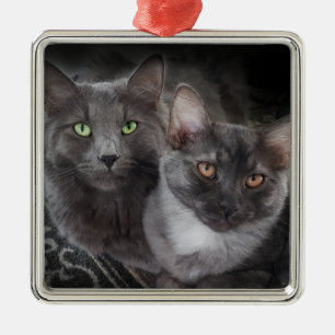 2 Katzen Grüne Augen Orangenaugen Graue Katze Schw Ornament Aus Metall