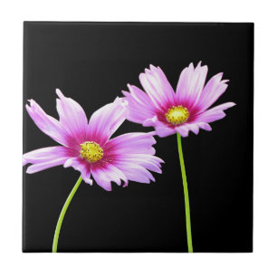 2 Kosmos Fliese
