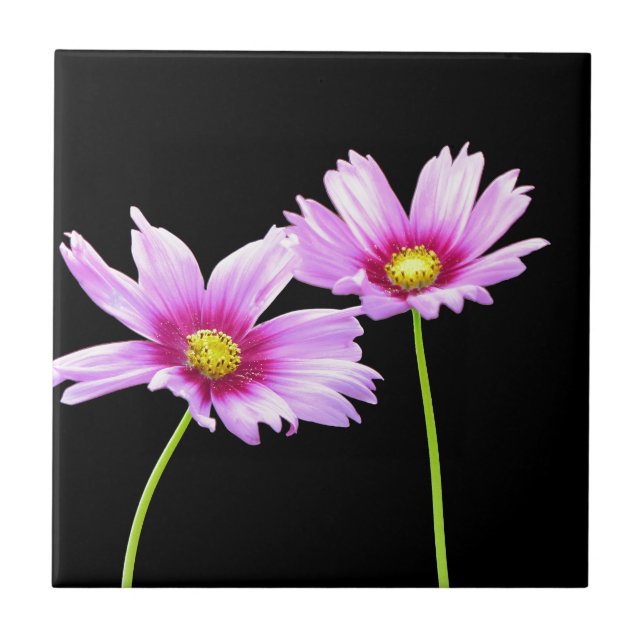 2 Kosmos Fliese (Vorderseite)