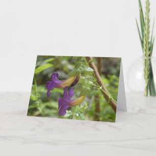 2 lila Blumen Karte