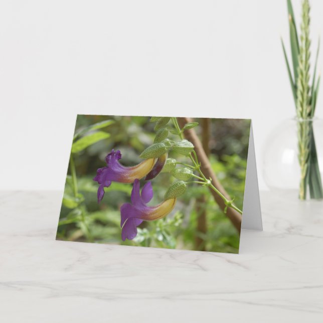 2 lila Blumen Karte (Vorderseite)