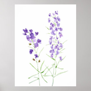 2 LILA WILDBLUME POSTER
