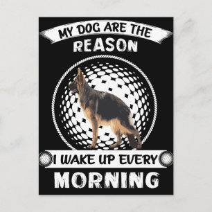 2 Meine Hunde sind der Grund, warum ich jeden Morg Postkarte