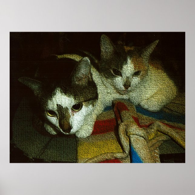 2 neugierige Kätzchen Poster (Vorne)