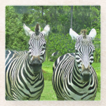 2 Niedliches Zebras