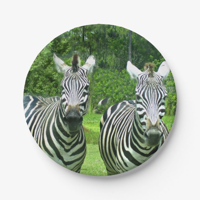 2 Niedliches Zebras Pappteller (Vorderseite)
