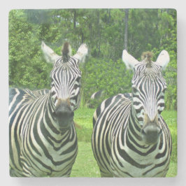 2 Niedliches Zebras Steinuntersetzer
