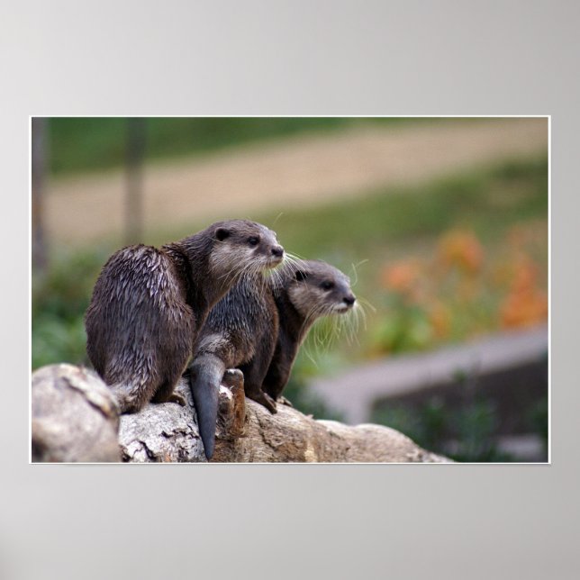 2 Oter Poster (Vorne)