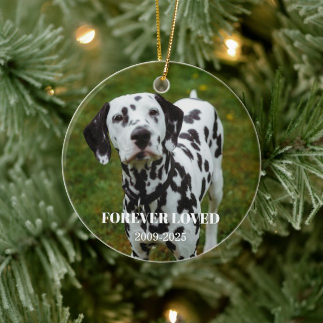 2 Pet Photo & Free Text Personalized Memorial Keramik Ornament (Baum)