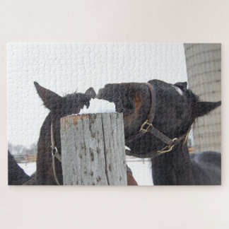 2 Pferde, die auf einem Schneezaun kauen Puzzle