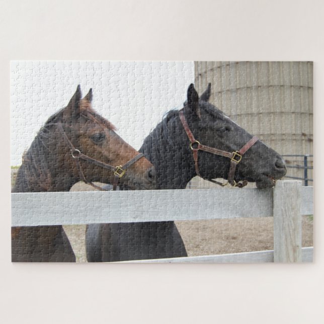 2 Pferde, die über den Zaun schauen Puzzle (Horizontal)