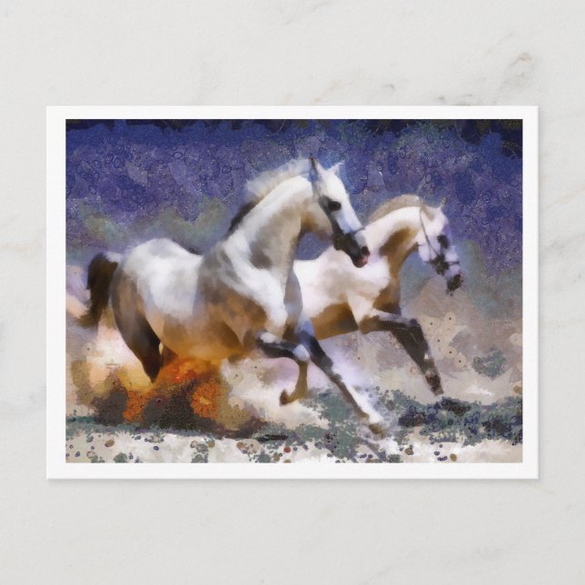 2 Pferde galoppieren Postkarte (Vorderseite)
