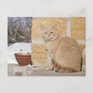 2 POSTKARTE