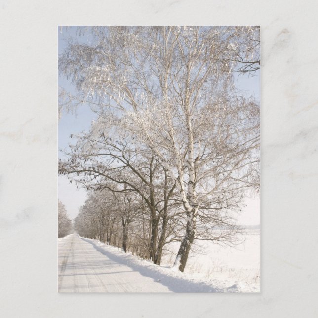 2 POSTKARTE (Vorderseite)