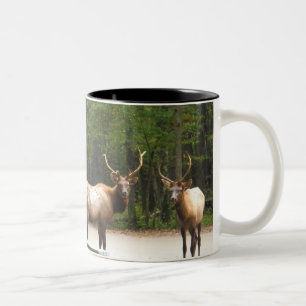 2 Rocky Mountain Elk Zweifarbige Tasse