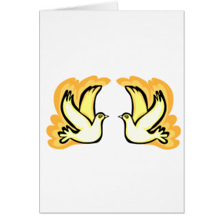 2 Schildkröte-Tauben