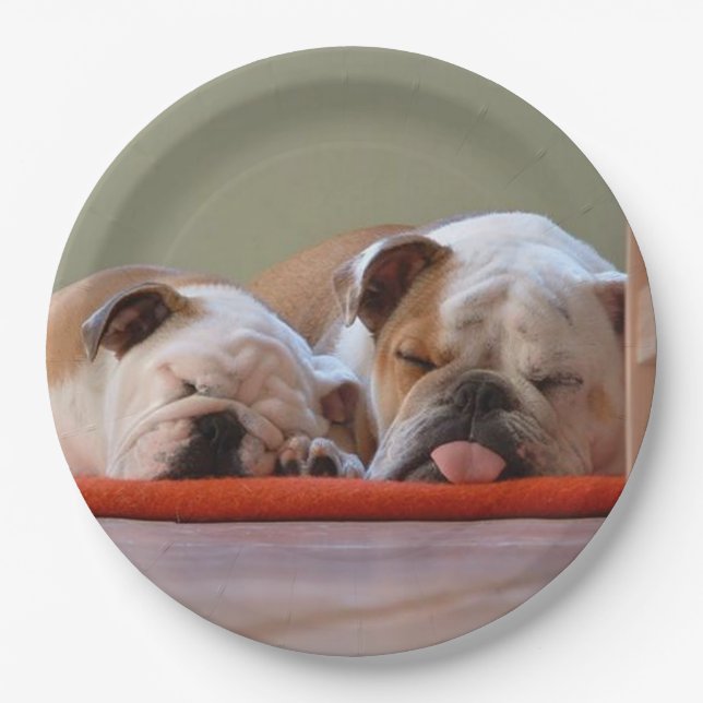 2 Schlafen bulldogs.png Pappteller (Vorderseite)