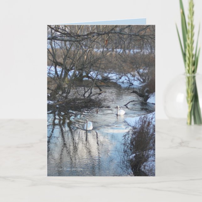 2 Schwäne im Winter Karte (Vorderseite)