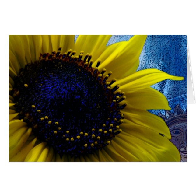 2 Sonnen (Vorderseite (Horizontal))