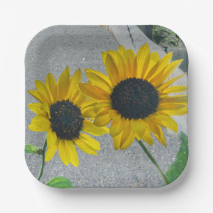 2 Sonnenblumen Hochzeit oder Landessen Pappteller