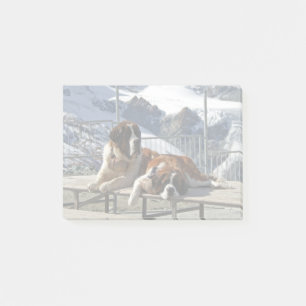 2 St-Bernard posierend - Post-it Notizblock